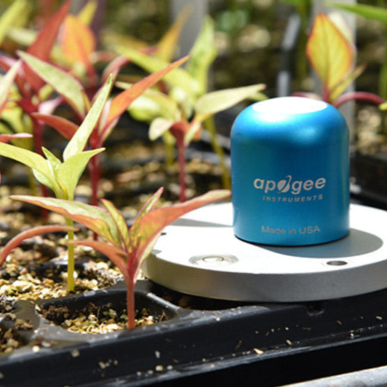 Apogee SQ-515-SS Amplified 0-5 V Full-Spectrum Quantum Sensor