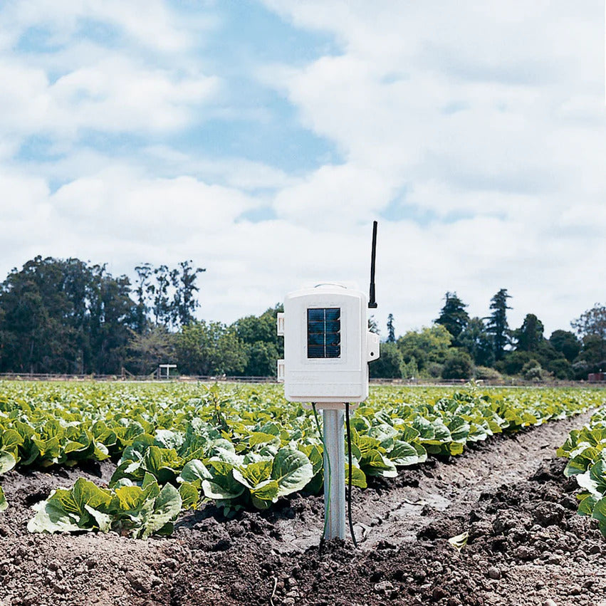Davis 6345CS Complete Wireless Soil Moisture/Temperature Station