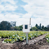 Davis 6345CS Complete Wireless Soil Moisture/Temperature Station