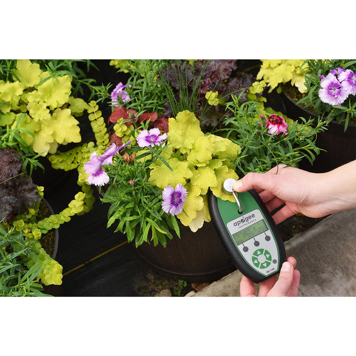Apogee MC-100 Chlorophyll Concentration Meter
